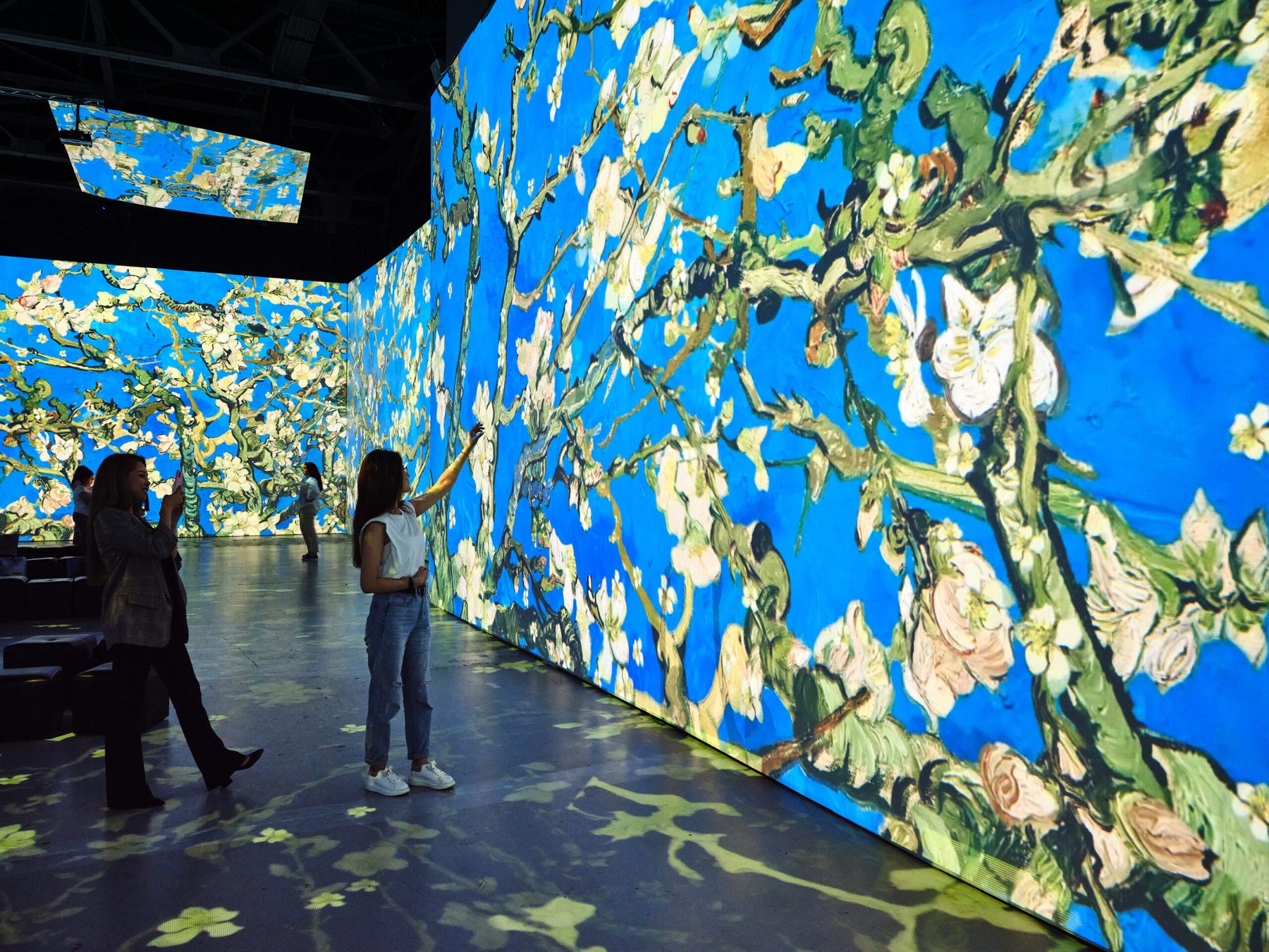 Raumfüllende Projektion von Van Goghs Mandelblüten, davor Besucher
